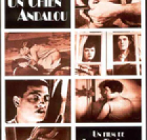 Giovedì 12 gennaio ore 21.30 - CineCartella