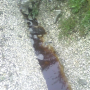 <strong>Per saperne di più</strong><br />Un fiume di percolato dalla discarica di Casignana Un fiume di percolato dalla discarica di Casignana