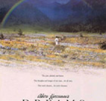 Mercoledì 28 luglio ore 21.00 - CineCartella