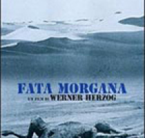 Martedì 30 luglio ore 21:00 - CineCartella