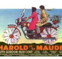 Mercoledì 23 maggio ore 21.30 - Cineforum