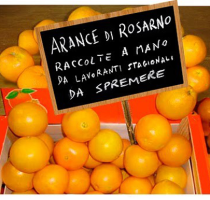 Rosarno, Italia: due anni di lotte