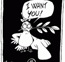 Venerdì 29 maggio ore 19.30 - Spazio Aperto alla Pace